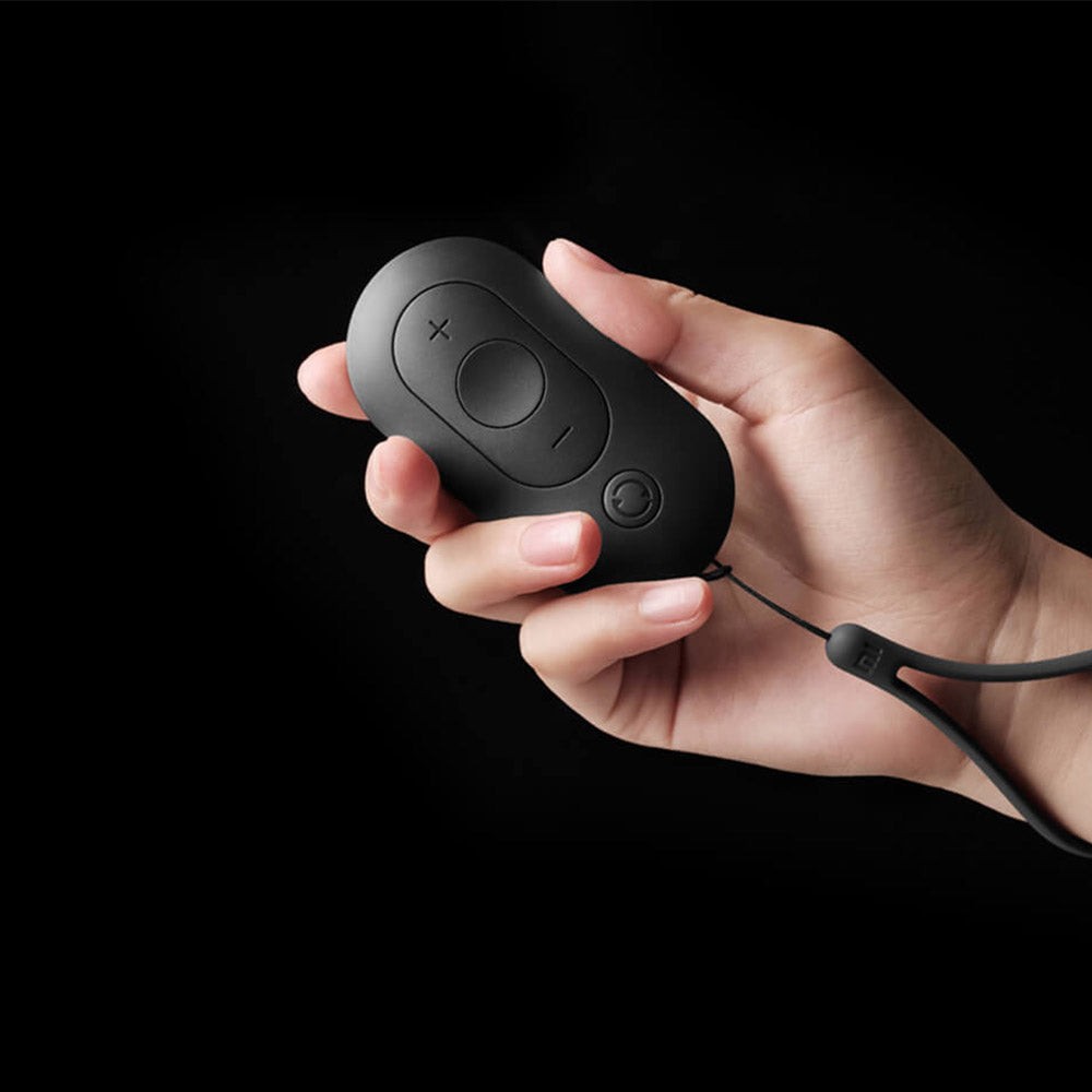 Ručni daljinski upravljač